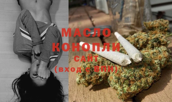 индика Михайлов